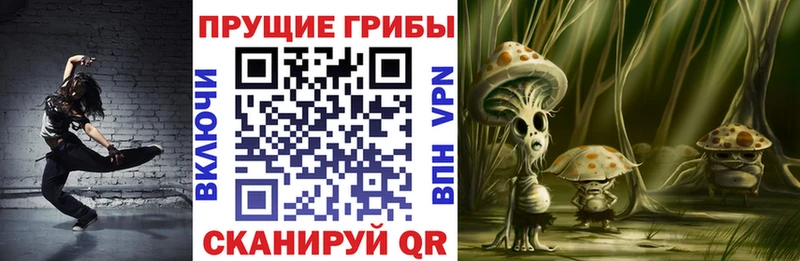 Галлюциногенные грибы Cubensis Абаза